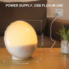 Sunrise Simulation Wake Up Light Alarm Clock